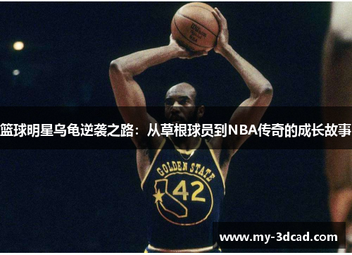 篮球明星乌龟逆袭之路：从草根球员到NBA传奇的成长故事